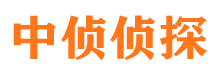 龙凤捉小三公司